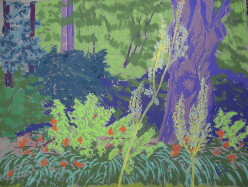 landscape