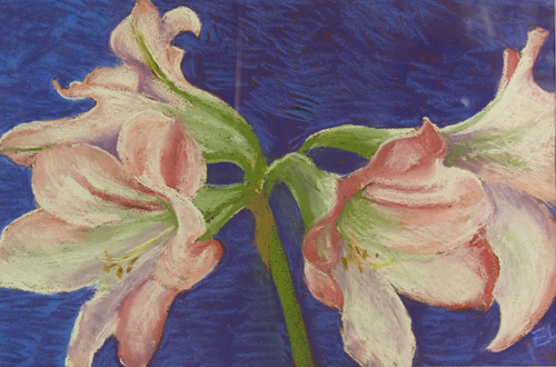 still life